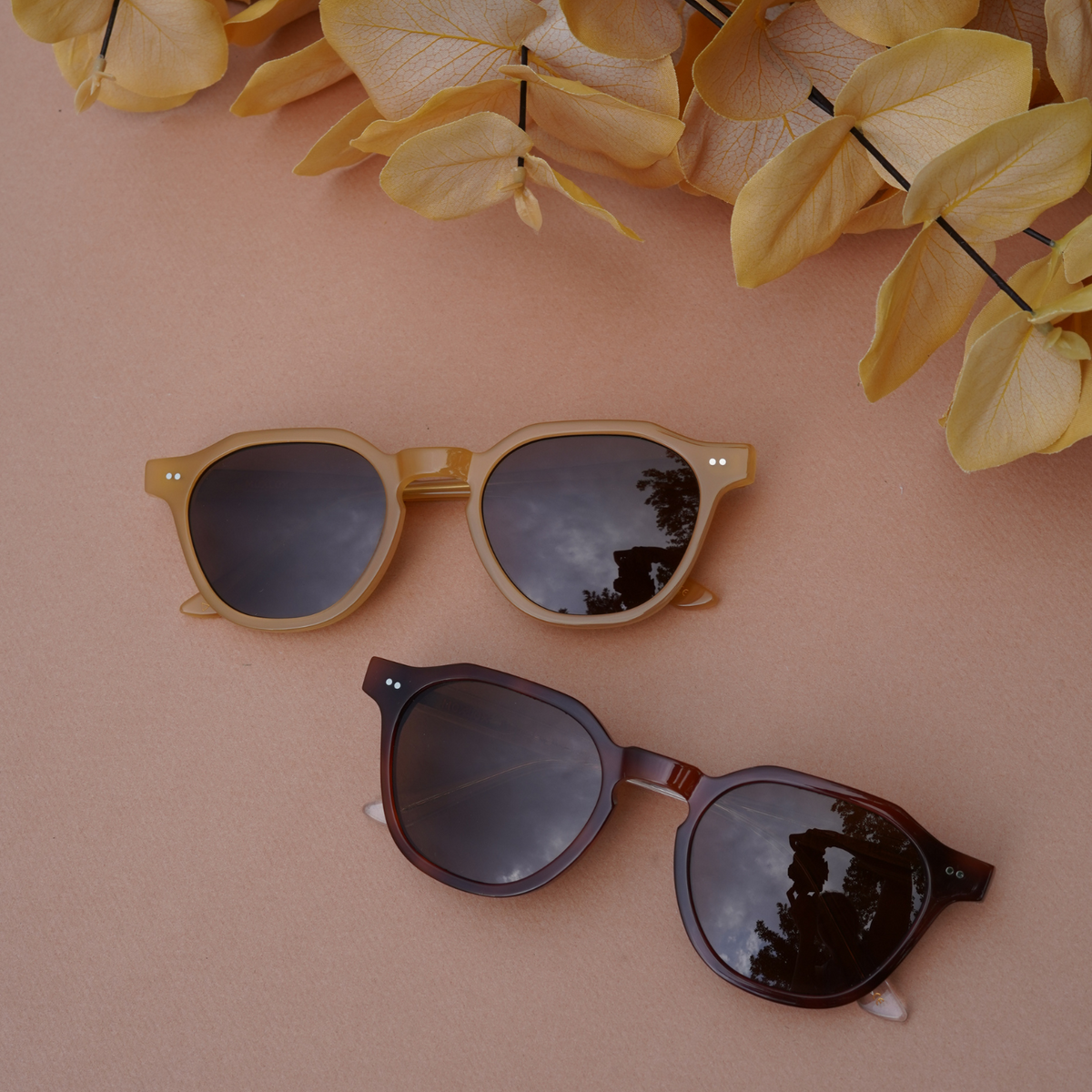 Easy Does It - Hazelnut/Brown Polarized