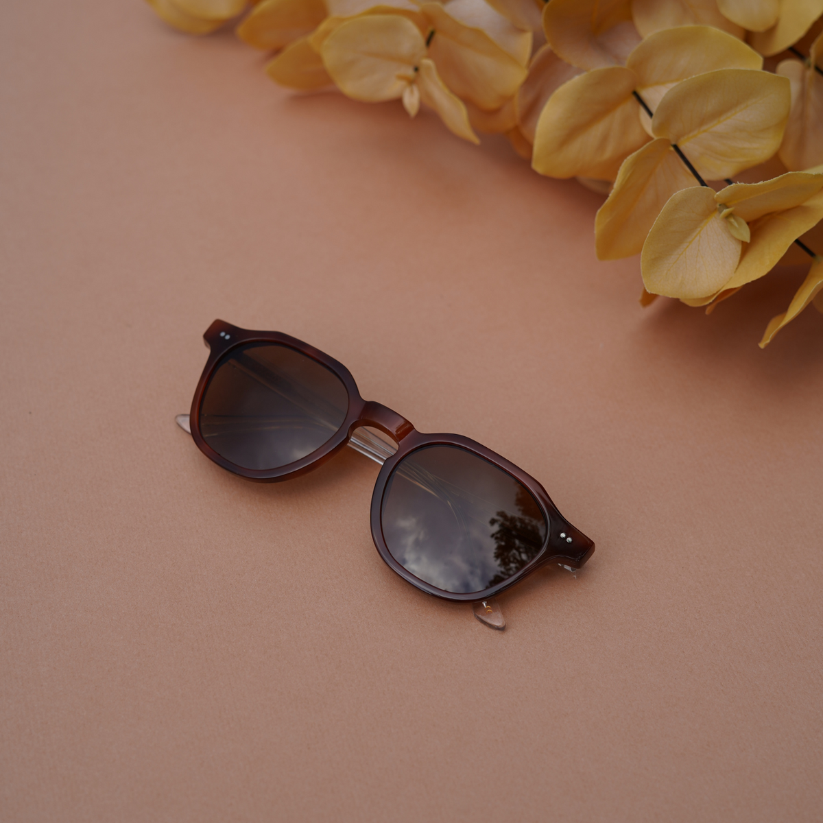 Easy Does It - Hazelnut/Brown Polarized