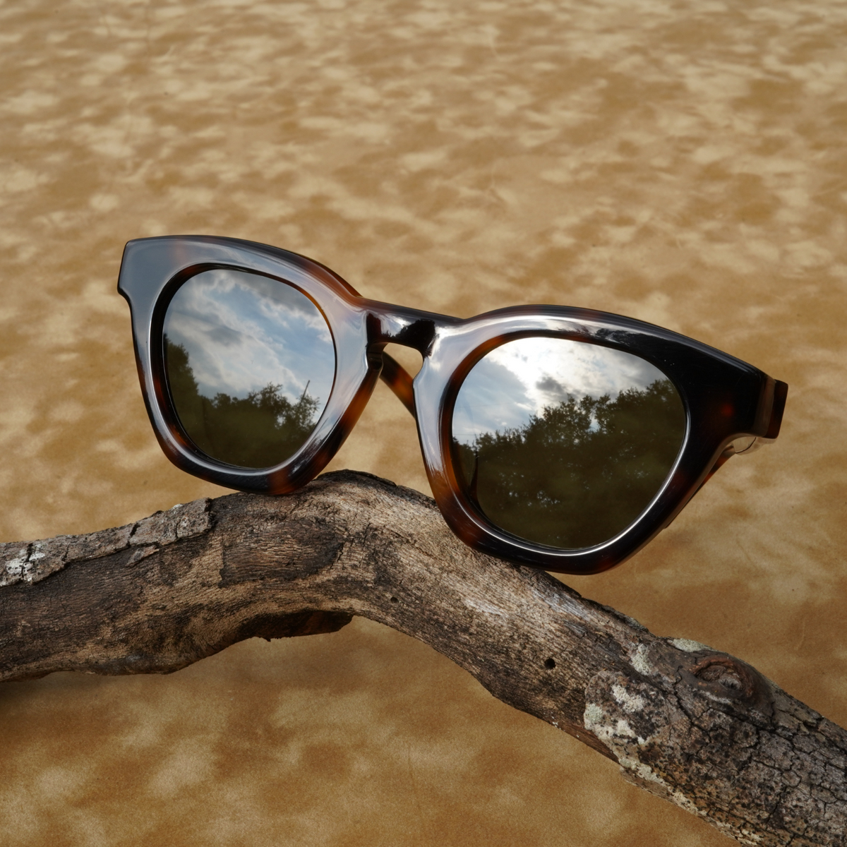 Champagne Taste - Tort/Green Polarized