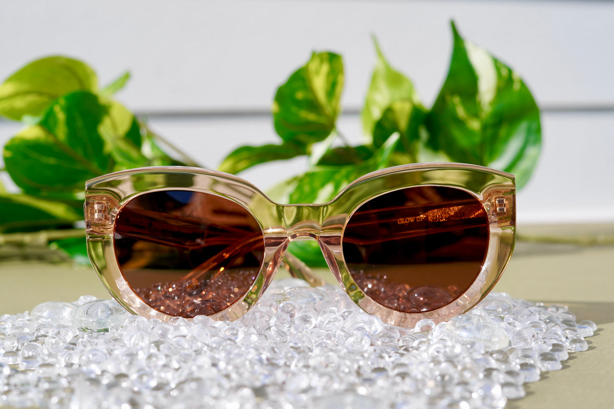 Glow Up - Golden Crystal / Brown Polarized