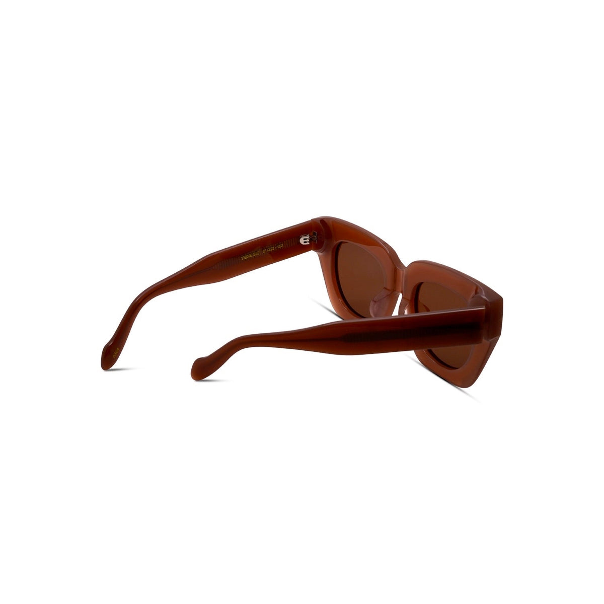 Think Big - Blush / Brown Polarized Lens