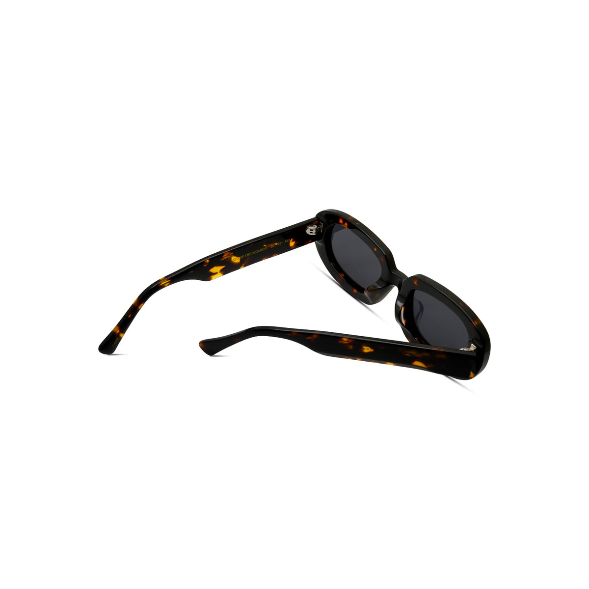 She Is The Moment - Tort/Grey Polarized