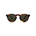 Bees Knees - Tort/Green Polarized