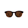 Smooth Sailing - Tort/Brown Polarized